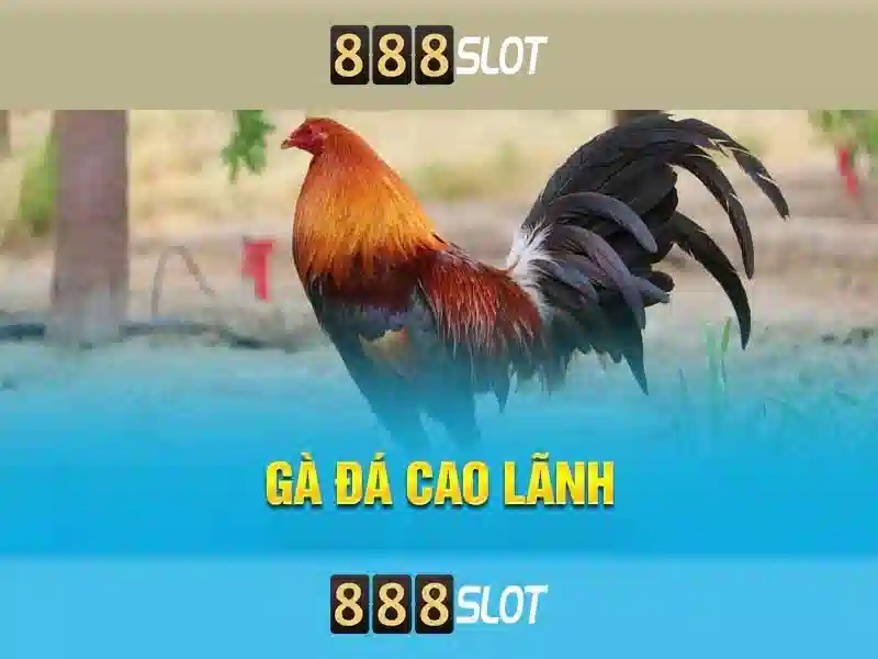 Việt Vị Trong Bóng Đá