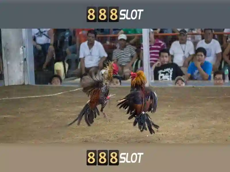 Bull Bull trực tuyến