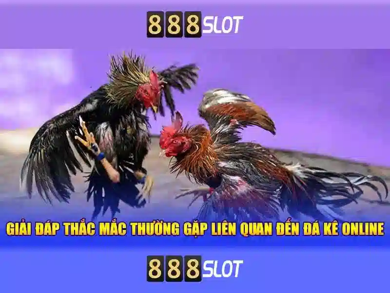 'Tổng quan về pro 888 slot'