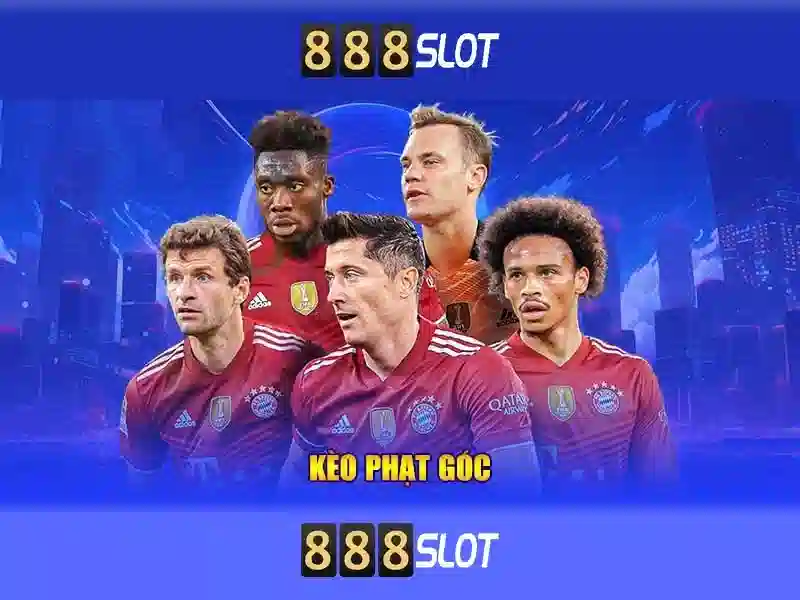 Hỗ trợ khách hàng