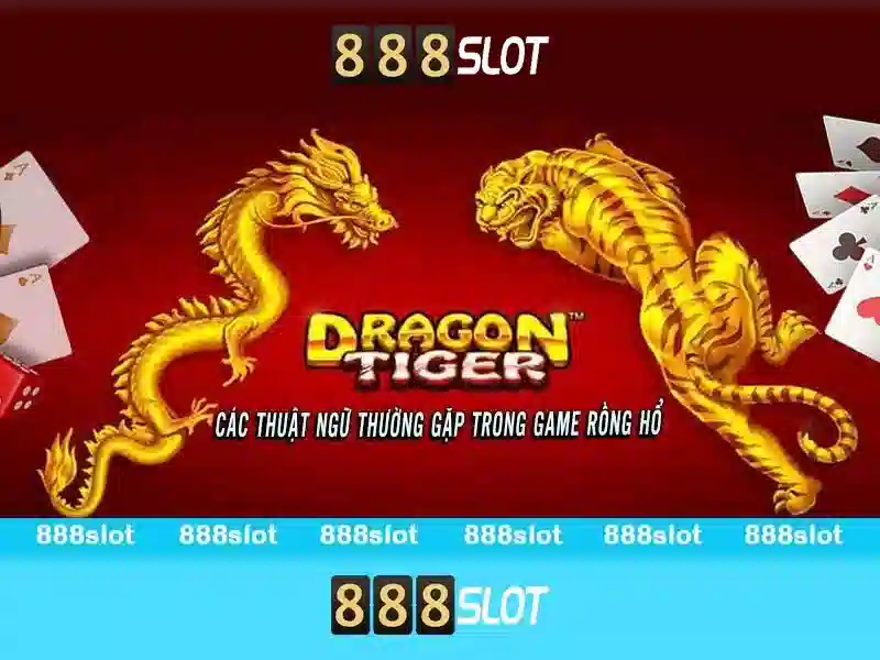 Trải nghiệm người dùng\n<h3 class=