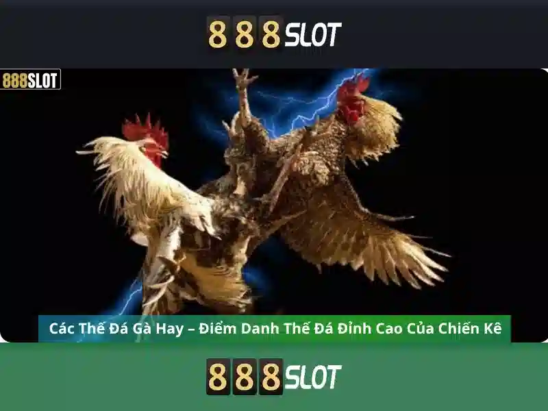 Việt Vị Trong Bóng Đá