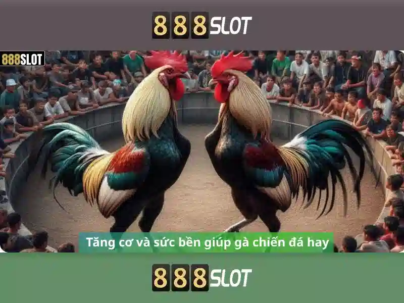 Khuyến mãi và chương trình thành viên
