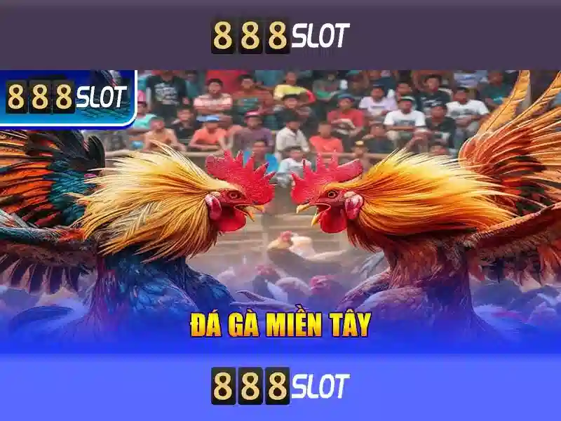 Khuyến mãi và chương trình thưởng