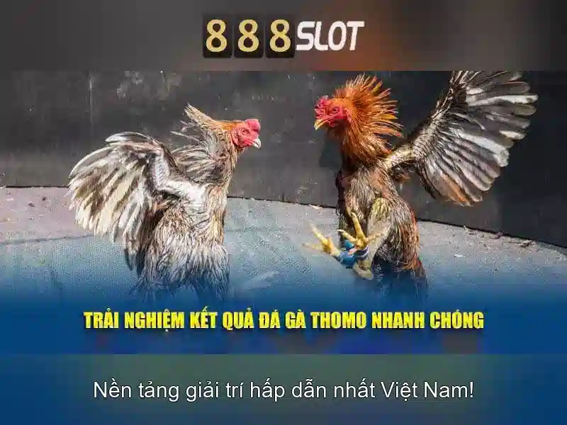 Giới thiệu về 888slot
