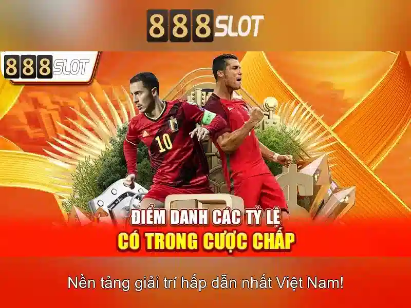 Trải nghiệm người dùng và hỗ trợ khách hàng