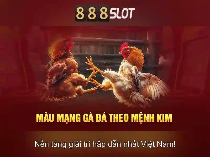 Trải nghiệm người dùng và hỗ trợ khách hàng