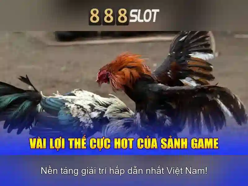 Các tính năng nổi bật